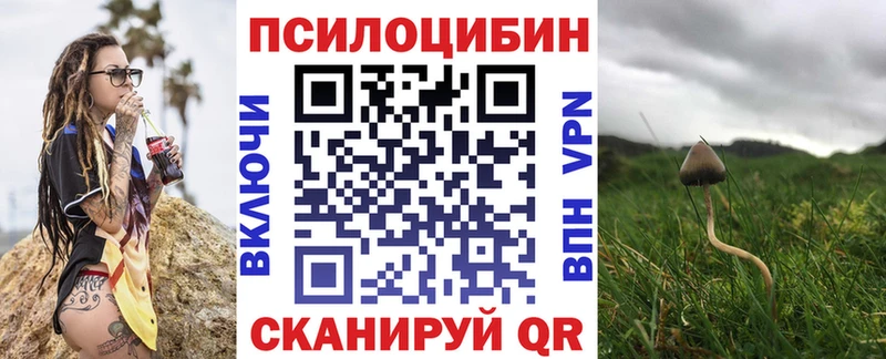 Псилоцибиновые грибы Psilocybine cubensis Пустошка