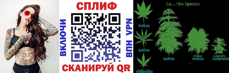 omg вход  Пустошка  МАРИХУАНА индика 